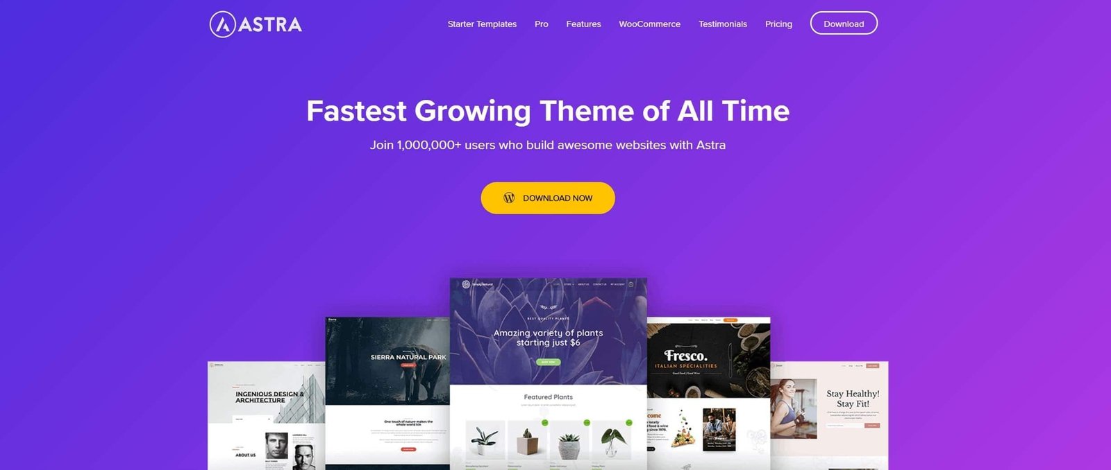 lightweight WordPress themes